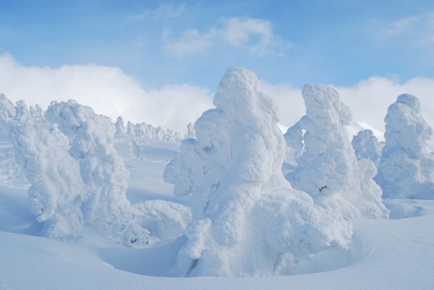 八甲田山系の樹氷