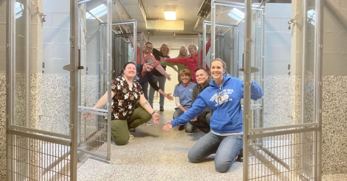 Pennsylvania Animal Shelter Celebrates Having No Dogs For First Time In 47 Years