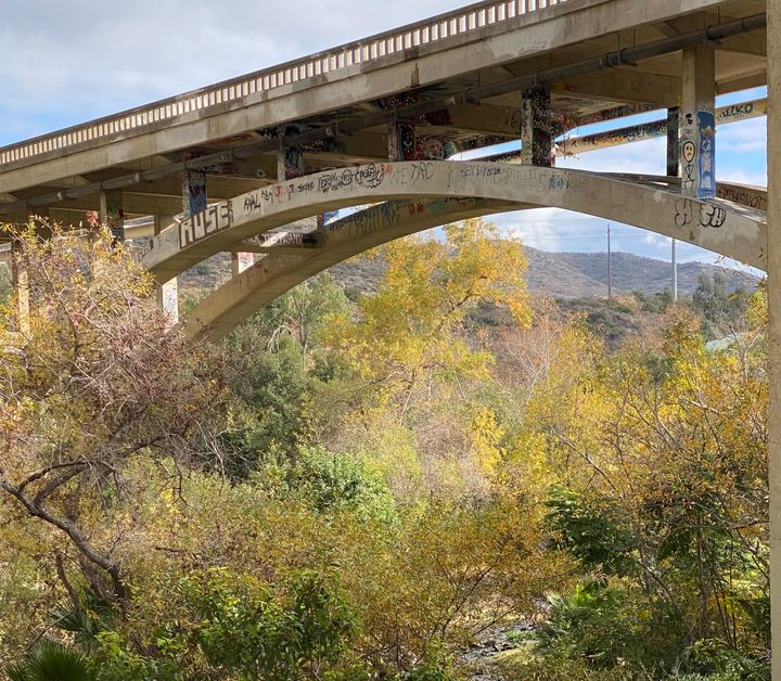 Cara Knott's body was found under this bridge on Dec. 28, 1986. The creek bed was dry at the time, but in this picture taken on Dec. 24, 2023, it is now covered by water and plants.