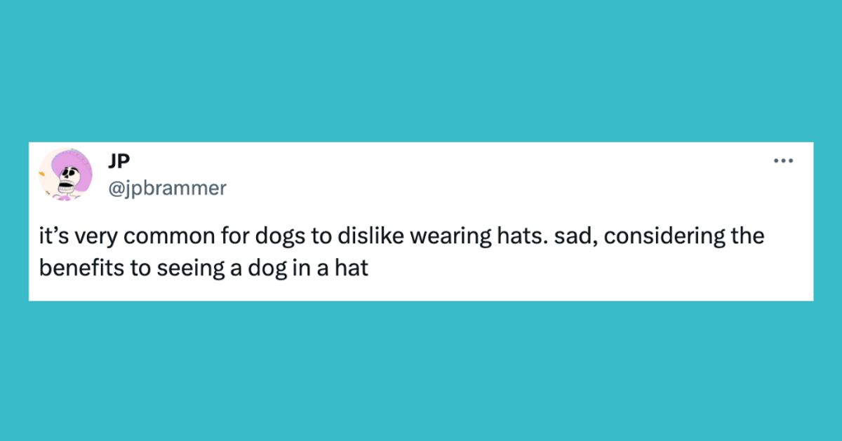 33 Of The Funniest Tweets About Cats And Dogs This Week (Dec. 23-29)
