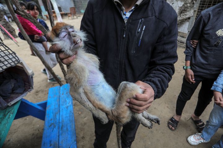 パレスチナ自治区ガザ地区にある動物園では、多くの動物も窮地に立たされている＝2024年1月2日