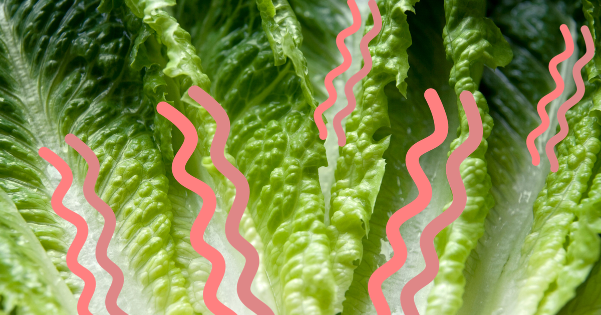 NextImg:Is It Safe To Eat Lettuce That's Turned Pink Or Slimy?