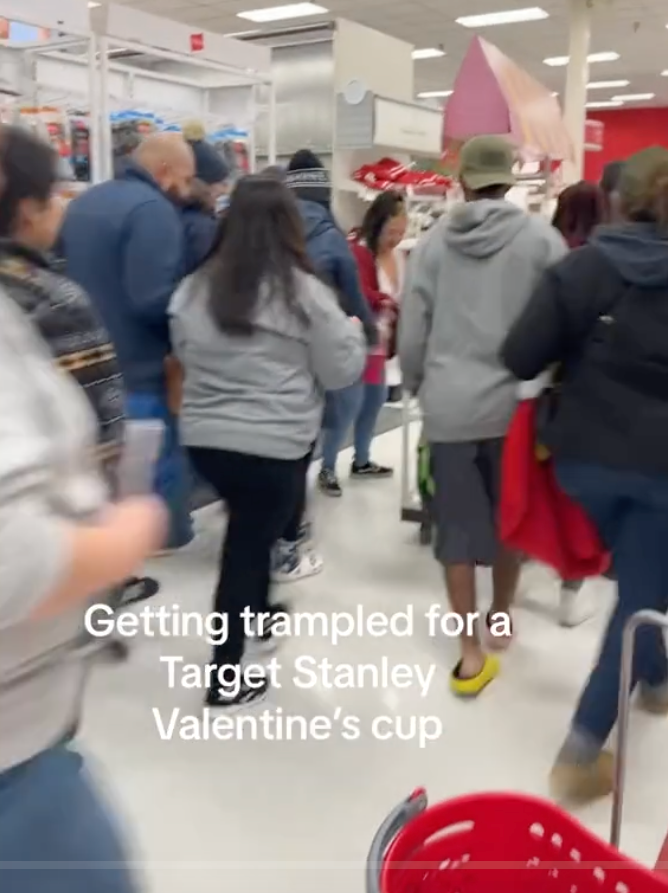 Target Shoppers Are 'Getting Trampled' for a Limited Edition Stanley Cup