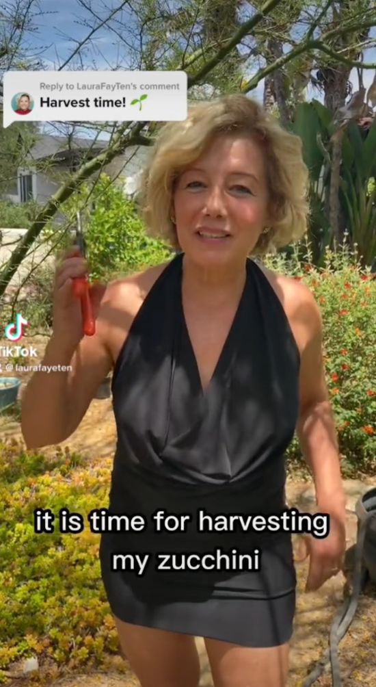 The author harvests zucchini in a miniskirt for a TikTok video.