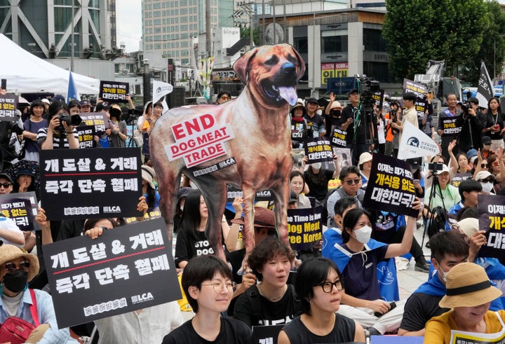 Animal rights activists stage a rally opposing eating dog meat in Seoul, South Korea on July 8, 2023.