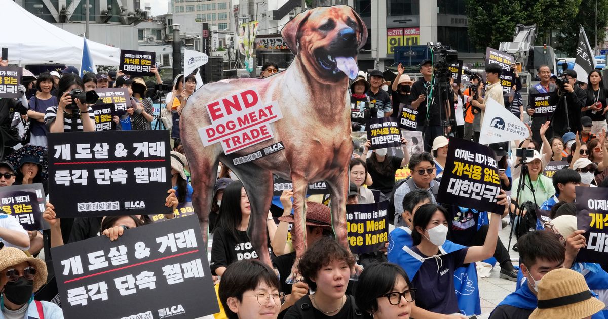 South Korea's Parliament Passes Landmark Ban On Production And Sales Of Dog Meat