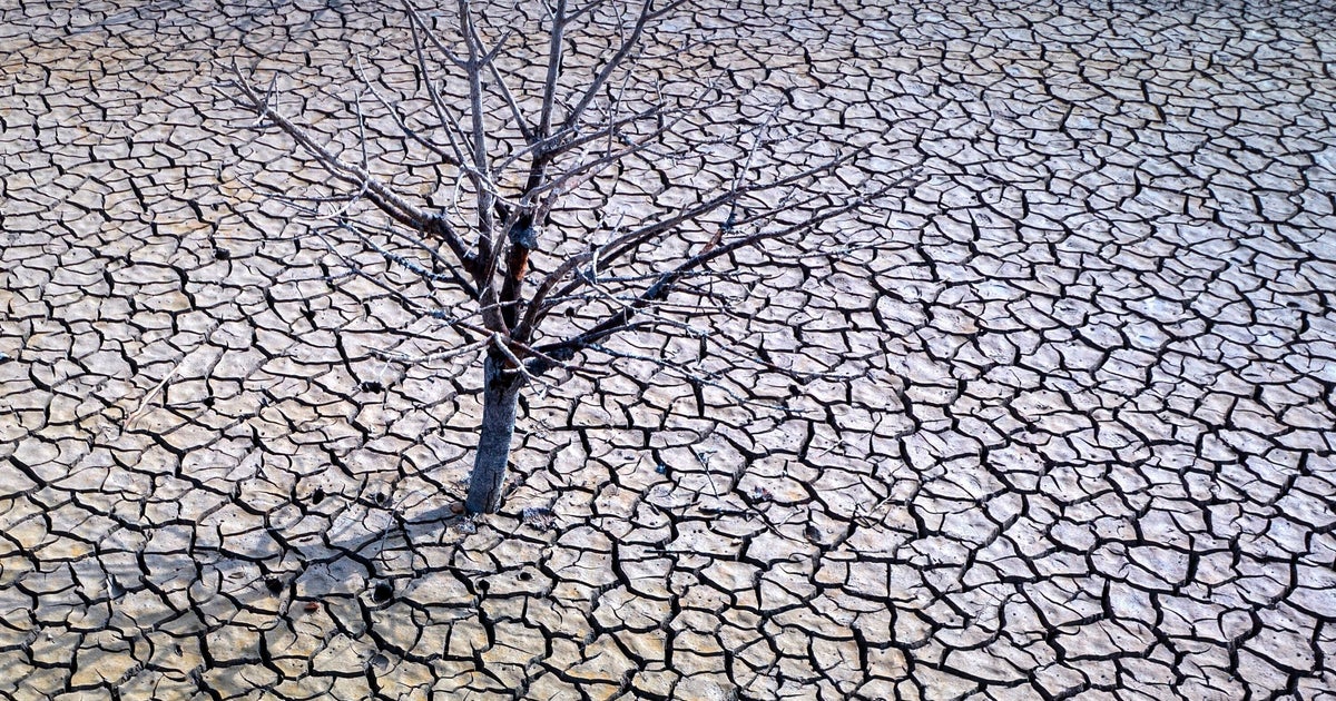 La Terre a battu le record mondial de chaleur en 2023 et il y a encore de mauvaises nouvelles