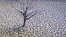  Earth Shattered Global Heat Record In 2023