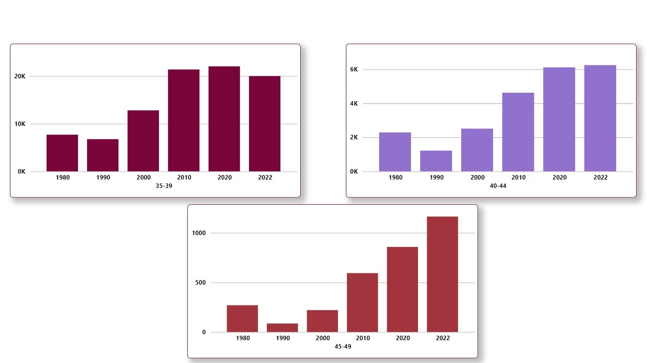 Data Analysis 2024 30   659d64df2200001e00ad46eb 