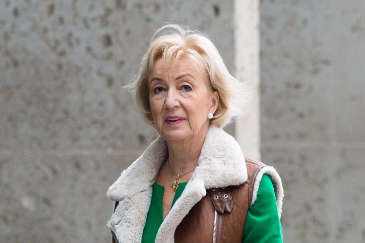 Andrea Leadsom was speaking in the House of Commons.