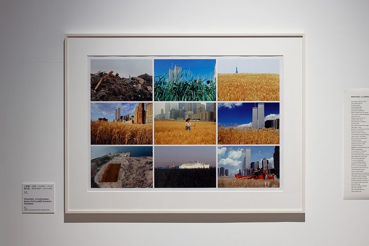 展示風景より、アグネス・デネス《小麦畑―対決：バッテリー・パーク埋立地、ダウンタウン・マンハッタン》1982年（撮影：木奥惠三、画像提供：森美術館）