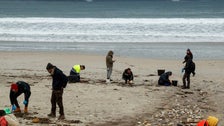 Millions Of Plastic Pellets Wash Up On Spanish Beaches Millions Of Plastic Pellets Wash Up On Spanish Beaches