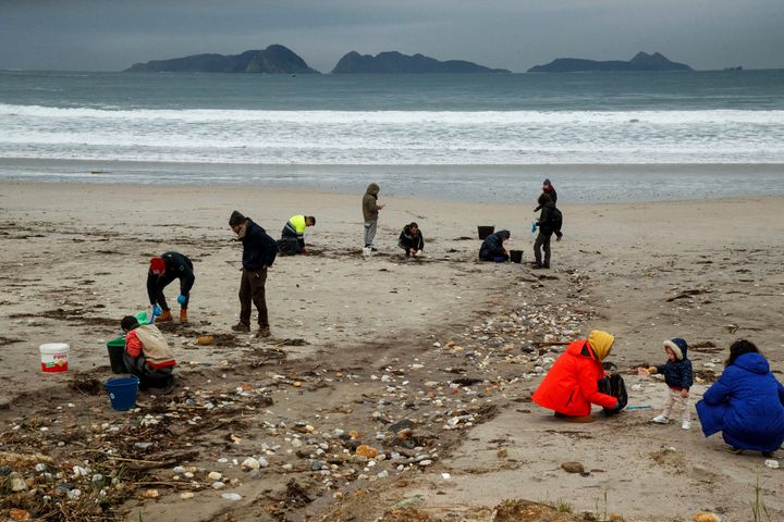 Millones de pellets de plástico llegan a las playas españolas
