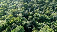 Archeologists Uncover Lost Cities Of Amazon Rainforest That Were Once Home To Thousands Archeologists Uncover Lost Cities Of Amazon Rainforest That Were Once Home To Thousands