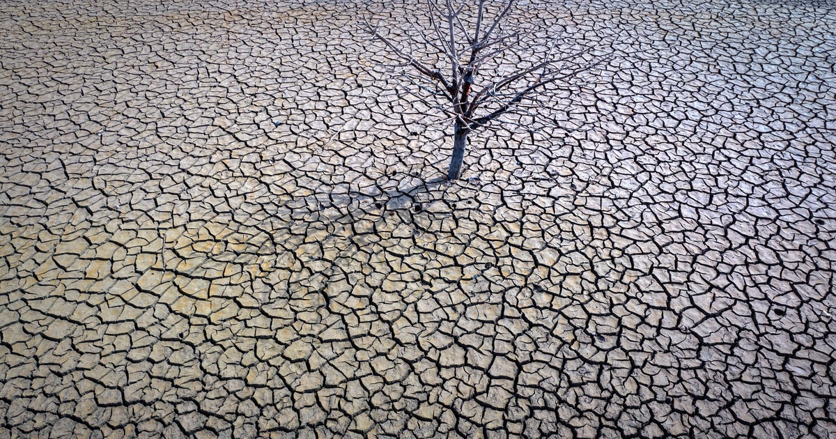 NextImg:2023 Was One Of The Coldest Years Of The Rest Of Your Life