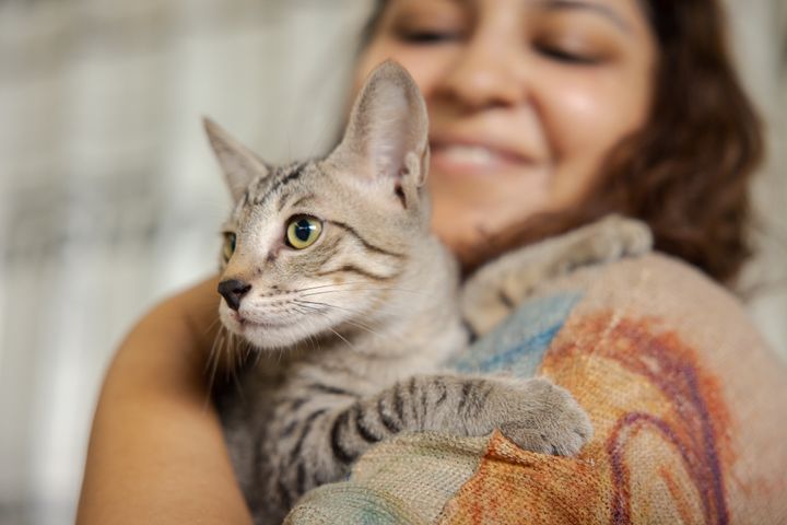 Woman hugging a stray cat in an animal shelter