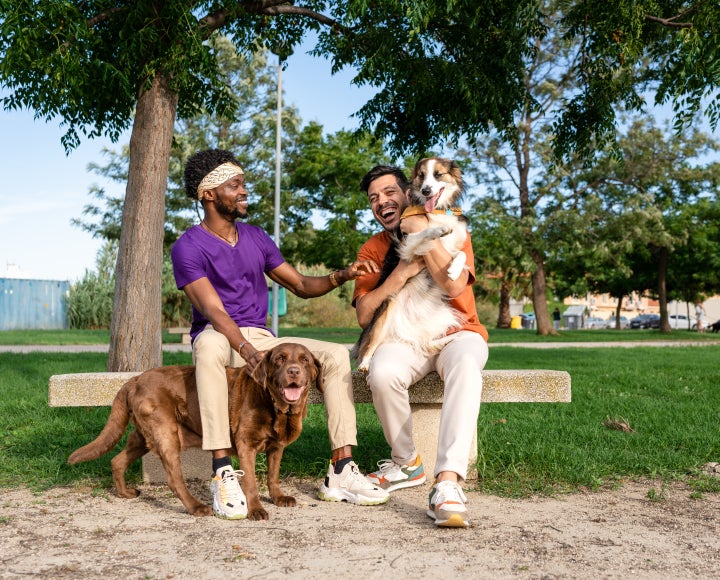 Men laugh while playing with their dogs in the park