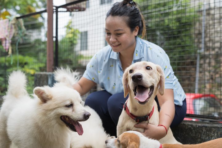 Woman petting dogs in an animal shelter