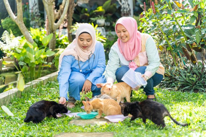 Women feeding outdoor cats
