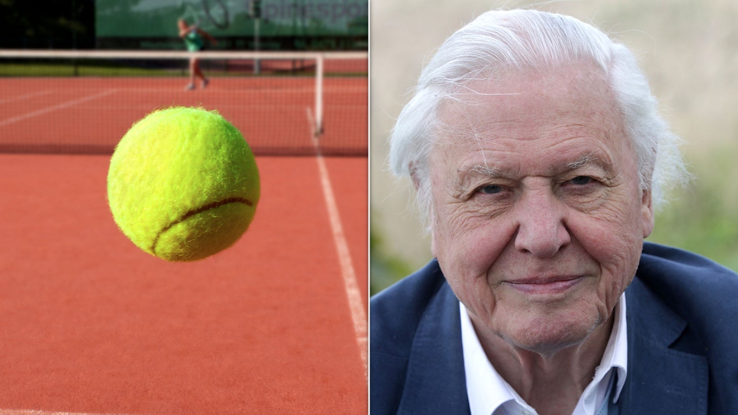 Wimbledon 2025: David Attenborough Is The Reason Tennis Balls Are ...