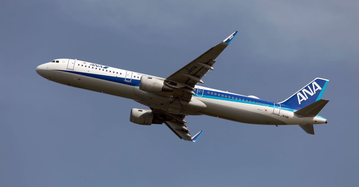 Plane Returns To Tokyo After American Passenger Allegedly Bites Flight Attendant