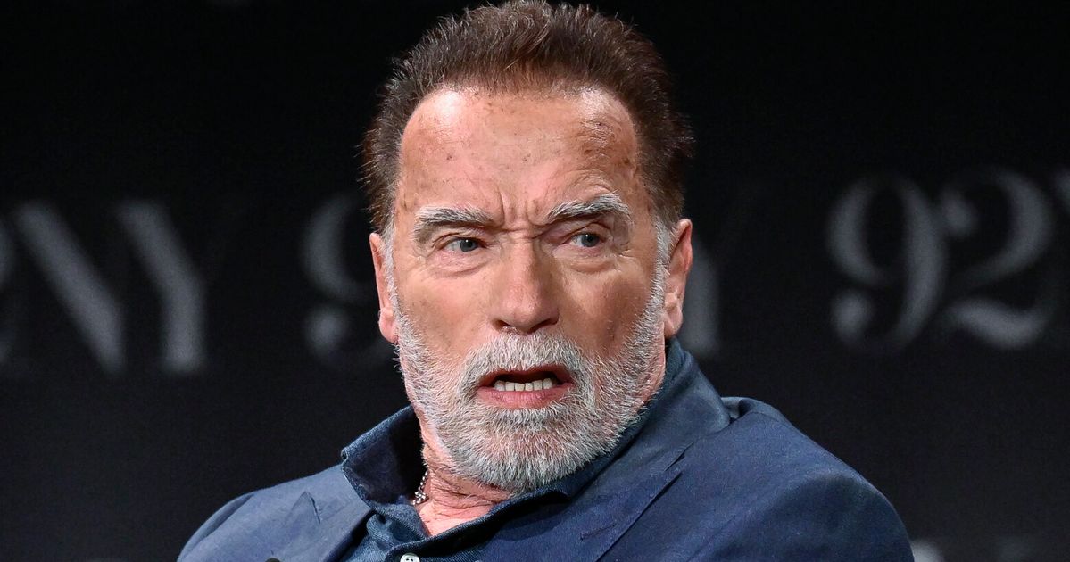 Arnold Schwarzenegger Detained At Munich Airport Over Luxury Watch ...