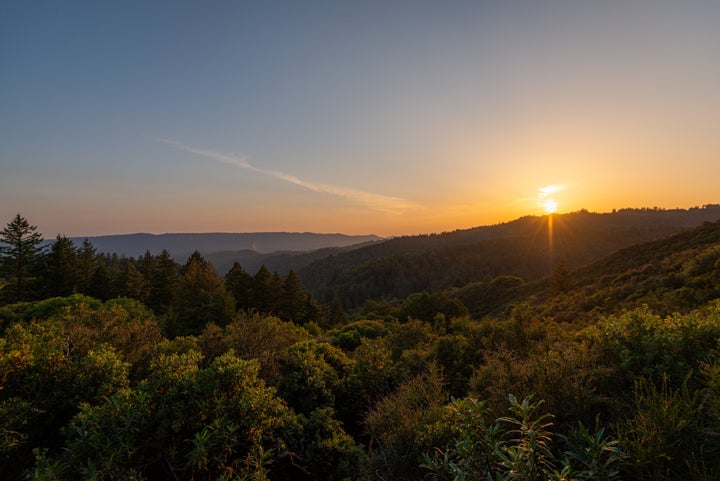 The Santa Cruz Mountains in California.