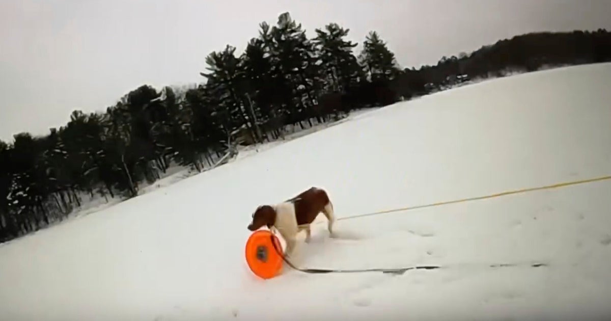 NextImg:Officer Uses Michigan Man's Dog To Rescue Him From Icy Lake