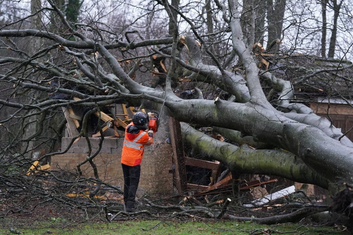 Workers remove a tree that fell on an electricity substation on the Kinnaird estate in Larbert during Storm Isha on Sunday