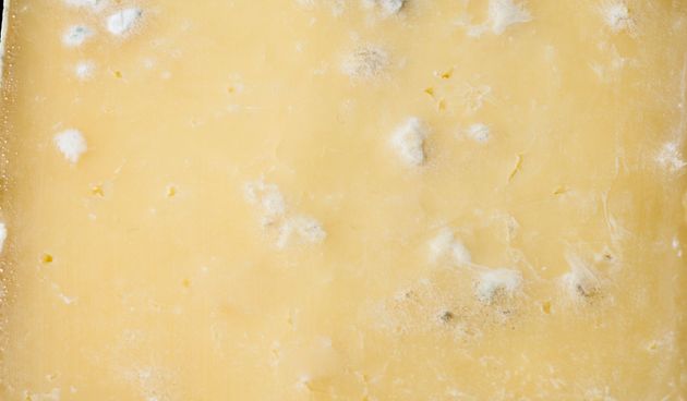 Extreme close up Wensleydale cheese with mould