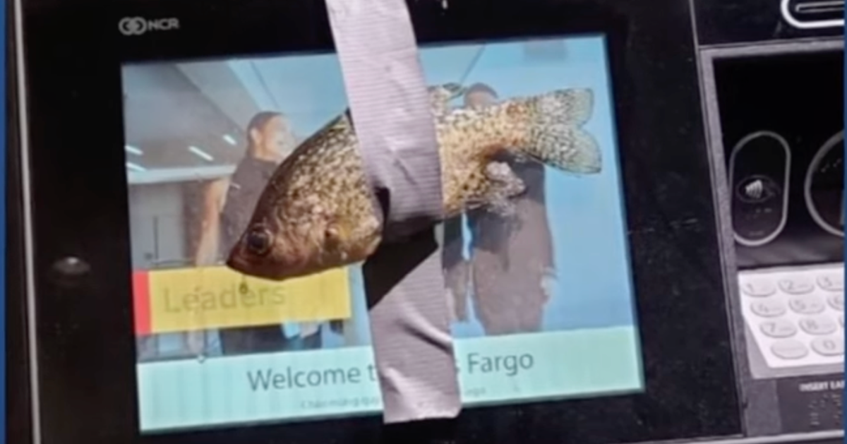 NextImg:Utah Teen Facing Charges After Allegedly Taping Fish To ATMs