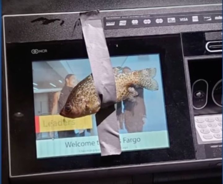 A teen is facing charges after allegedly taping fish to ATMs at various banks in Provo, Utah.
