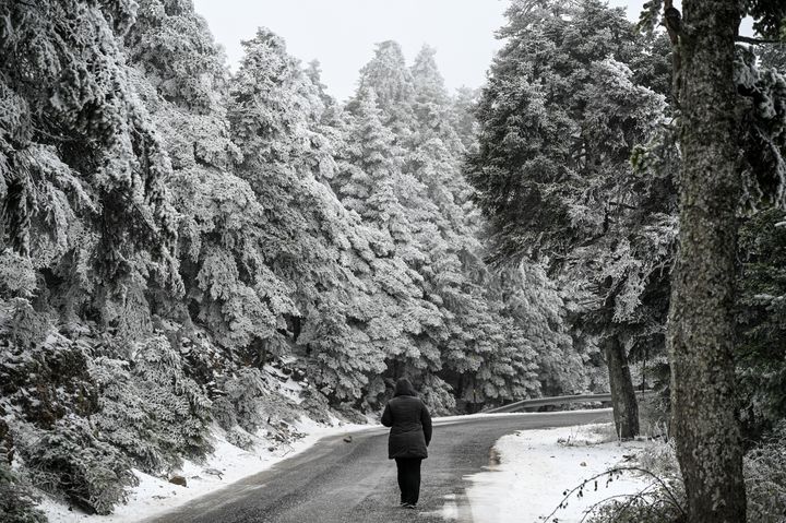 Στιγμιότυπο από την χιονισμένη Πάρνηθα, Δευτέρα 22 Ιανουαρίου 2024. (ΜΙΧΑΛΗΣ ΚΑΡΑΓΙΑΝΝΗΣ/EUROKINISSI)