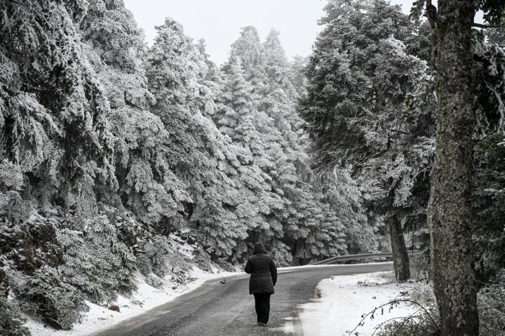 Στιγμιότυπο από την χιονισμένη Πάρνηθα, Δευτέρα 22 Ιανουαρίου 2024. (ΜΙΧΑΛΗΣ ΚΑΡΑΓΙΑΝΝΗΣ/EUROKINISSI)