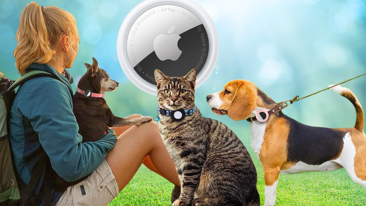 Track my dog sales with my phone