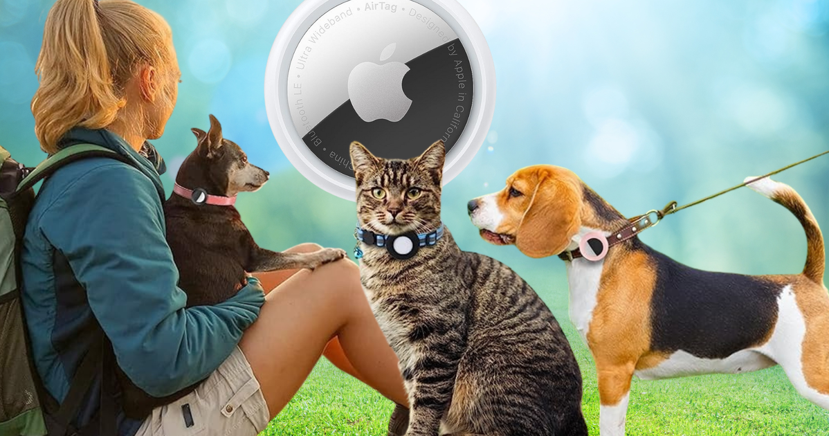 NextImg:This Affordable Reader-Favorite Device Can Give Pet Owners Peace Of Mind