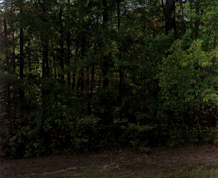 Woods located near Fox Hall Resort via Google Maps