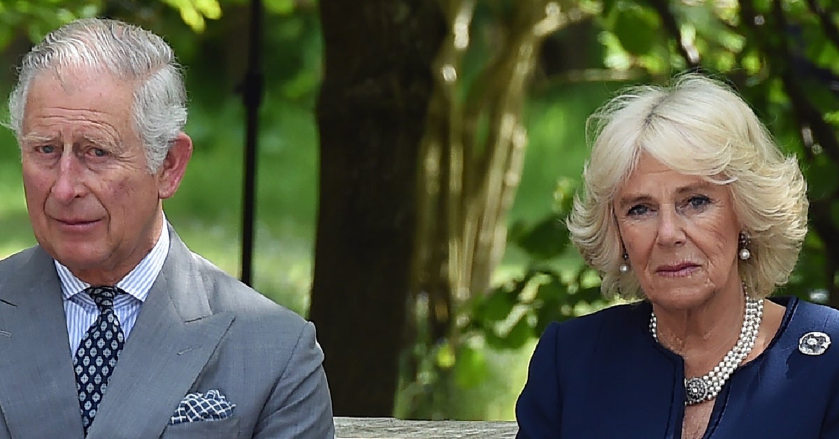 NextImg:Queen Camilla Gives Update On King Charles' Condition After Hospital Visit