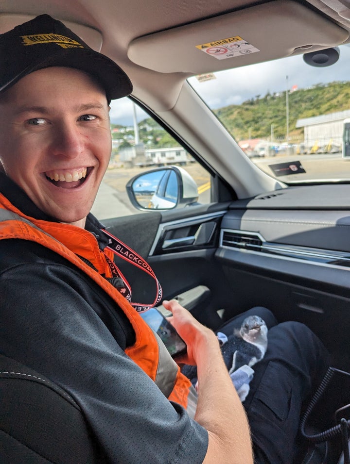 An airport employee is appropriately delighted at holding the penguin.