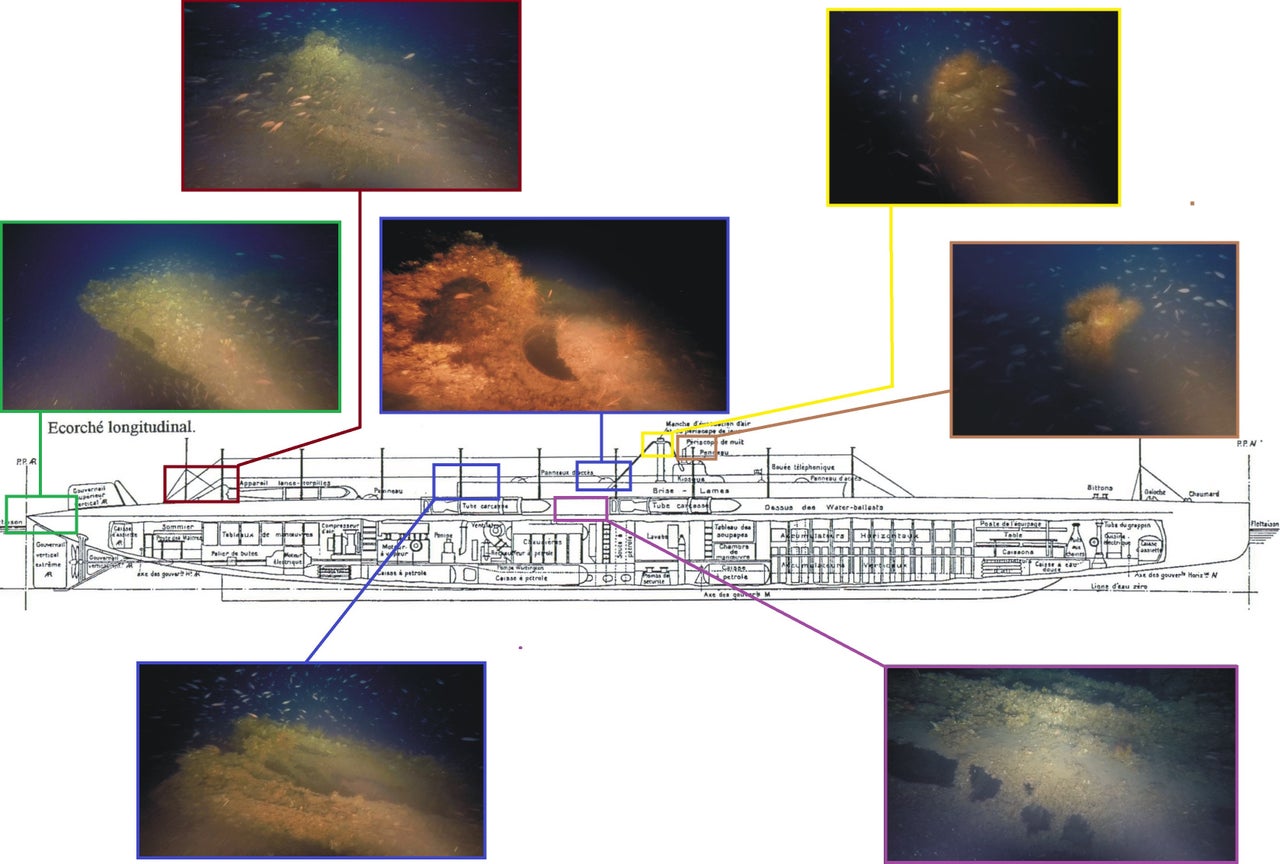 Υποβρύχιες φωτογραφίες του ναυαγίου Floreal σε αντιπαραβολή με τα σημεία αναγνώρισης και ταυτοποίησης.