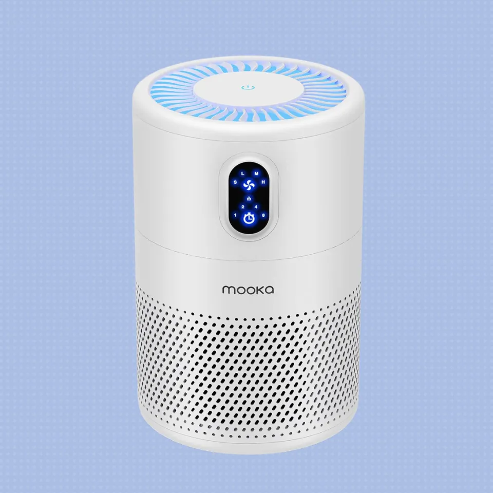 The Best Affordable Air Purifiers
