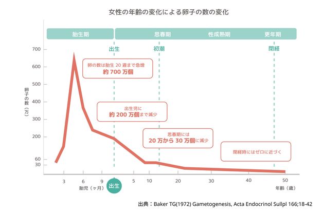 女性の年齢の変化による卵子の数の変化のグラフ