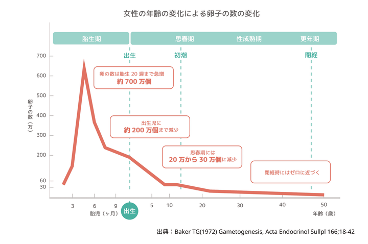 女性の年齢の変化による卵子の数の変化のグラフ