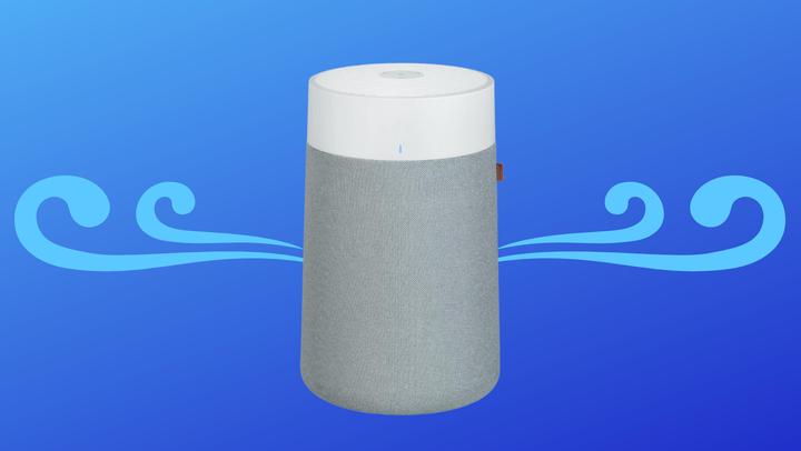 BlueAir air purifier