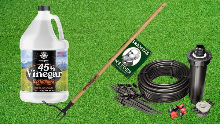Horticultural vinegar, a manual weed-removing tool and a drip irrigation system. 