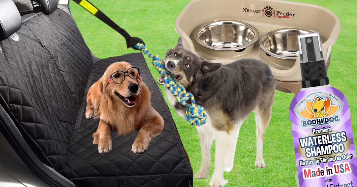 NextImg:Pet Owners With Big Dogs Swear By These 26 Useful Products