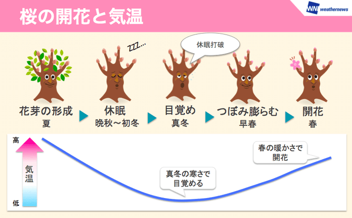 ウェザーニュース