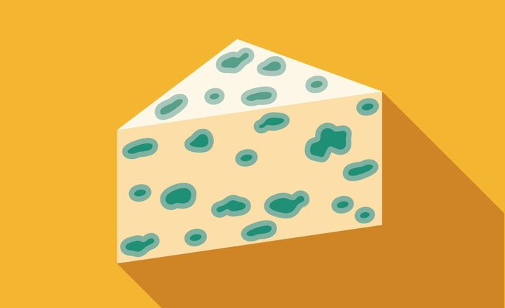 What's the deal with mould and cheese?