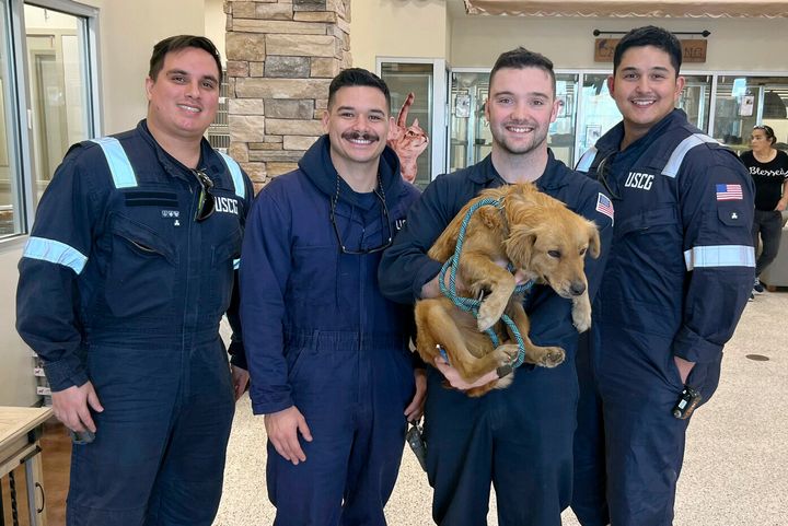 This image released by the U.S. Coast Guard, shows Connie the container dog, Wednesday, Jan. 31, 2024, with the four marine inspectors from the U.S. Coast Guard Sector Houston-Galveston who found her when randomly selecting containers for inspection at the Bayport Terminal at the Port of Houston.