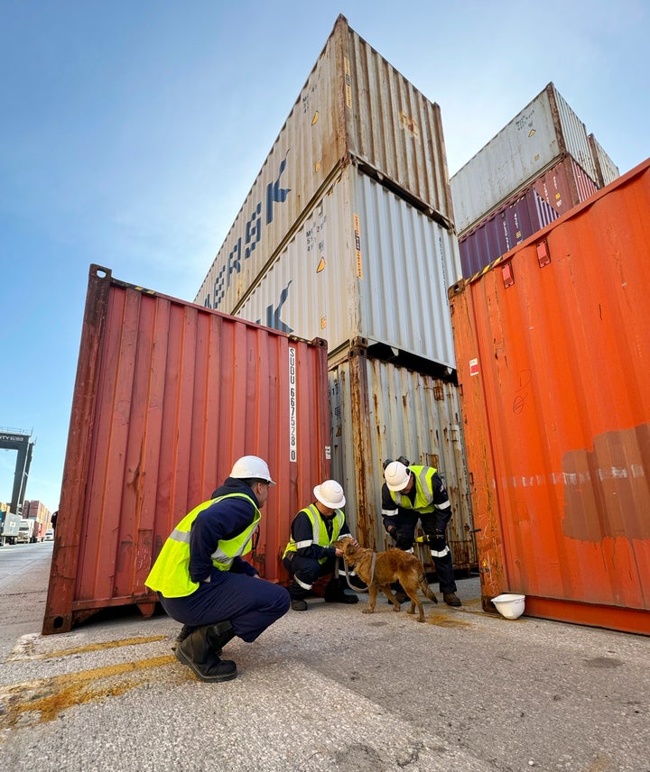 Officers heard sounds of barking and scratching coming from inside one of the stacked shipping containers.